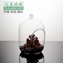 创意器皿苔藓微景观玻璃瓶 透明高硼硅玻璃吊瓶 微观生态瓶子悬挂