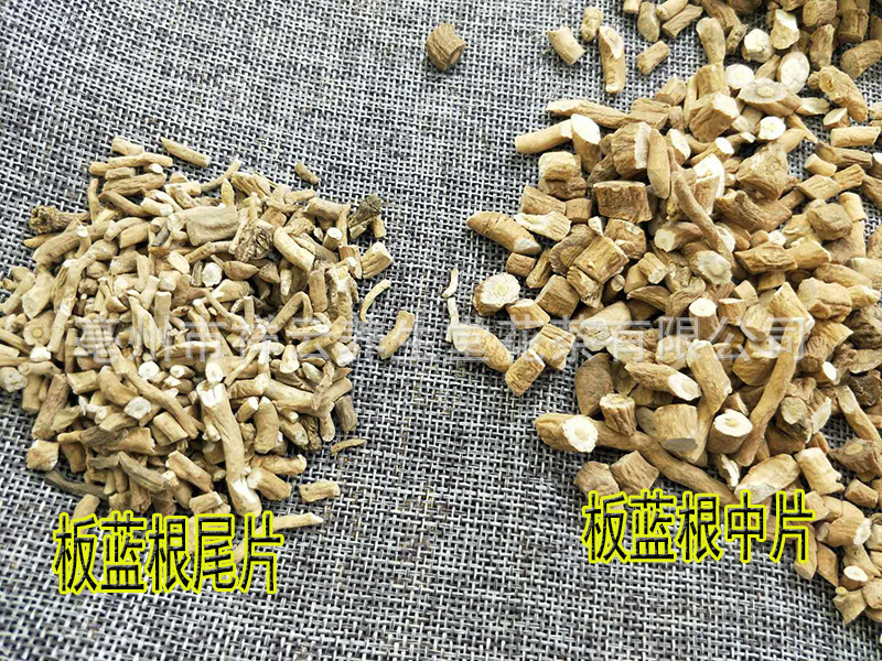 板蓝根批发 大青根大蓝根散装500克中片尾片材板兰根大青叶-阿里巴巴