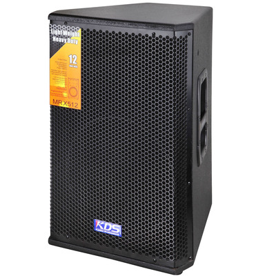 Priced customized major sound equipment 12 Divide Indoor and outdoor stage show passive major loudspeaker box