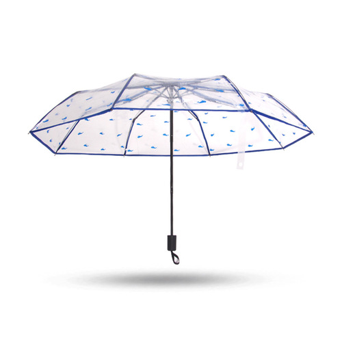 Umbrella transparent umbrella folding umbrella fully automatic umbrella Korean transparent umbrella small fresh girl multi-color sunny umbrella student umbrella