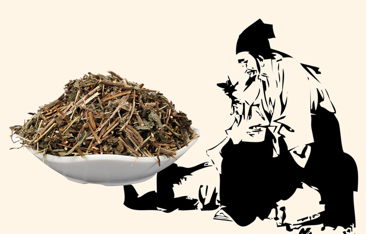 Dong Ling Cao (Rabdosia rubescens) — Dried Chinese Herbal Material, Ice Ling Grass 500g overview