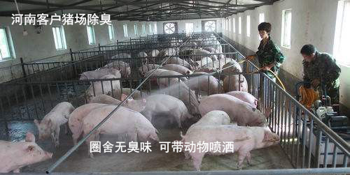 重庆哪里能买到正规的养猪场除臭液