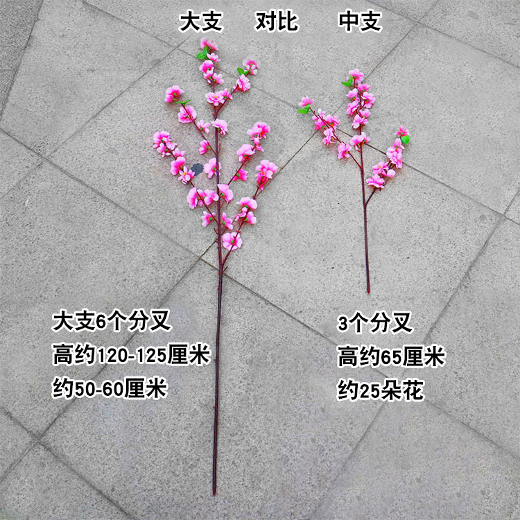 桃花 11.jpg