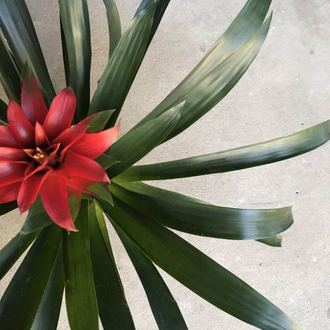 微信图片_20181218140246