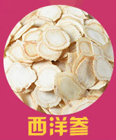 Sang Huang (Sanghuangporus sanghuang) — Wild Northeast Mulberry Yellow Fungus, Food-Herb Mushroom for Cooking key features