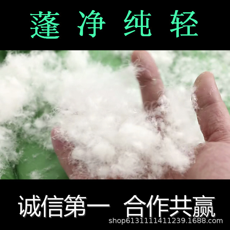 9036916270_980119599