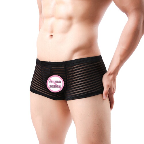 Neiyiku Men's Boxer Briefs Breathable Low Waist Sexy Striped Boxer Briefs Sexy One Piece Dropshipping