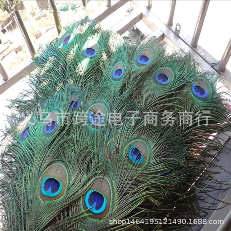 HTB1BBnetpOWBuNjy0Fiq6xFxVXaB