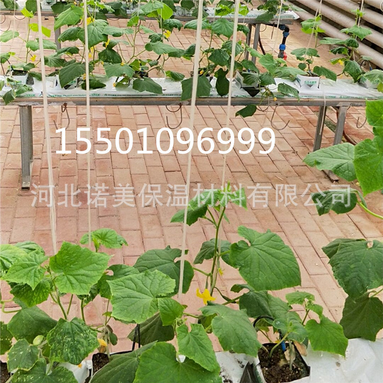 诺美蔬菜用岩棉