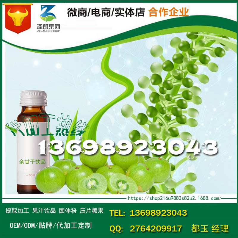 baidu-饮品余甘子