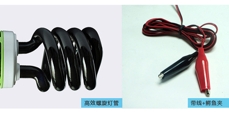 9072788500_2088099942