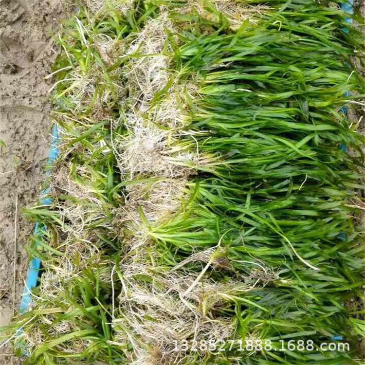 微信图片_20171203124033