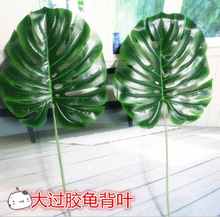 ָL֧~ ~~ӻˇoľƵ󻨻c~