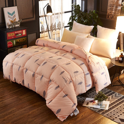 quality goods Cotton Down quilt 95% Goose quilt Double thickening keep warm Winter quilt Gift wrap wholesale Direct selling