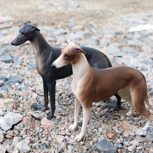 Simulated static solid wild animal dog model Greyhound Greyhound hunting dog pet dog children's toy figure