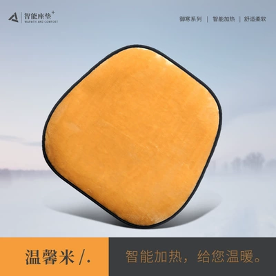 heating seat cushion car winter – Multi-function pad - warm-rice-heating-single-seat