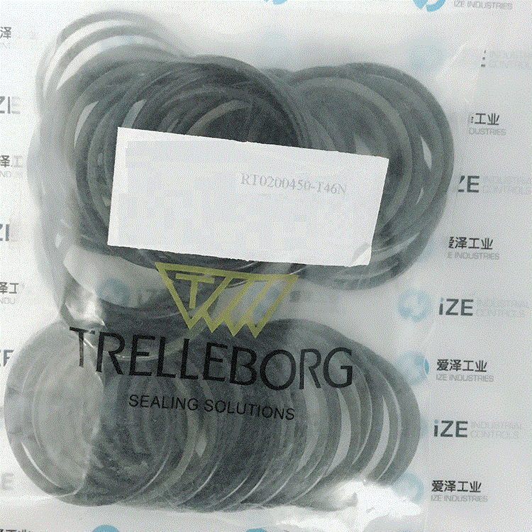 RT0200450-T46N密封BUSAK+SHAMBAN(B+S)