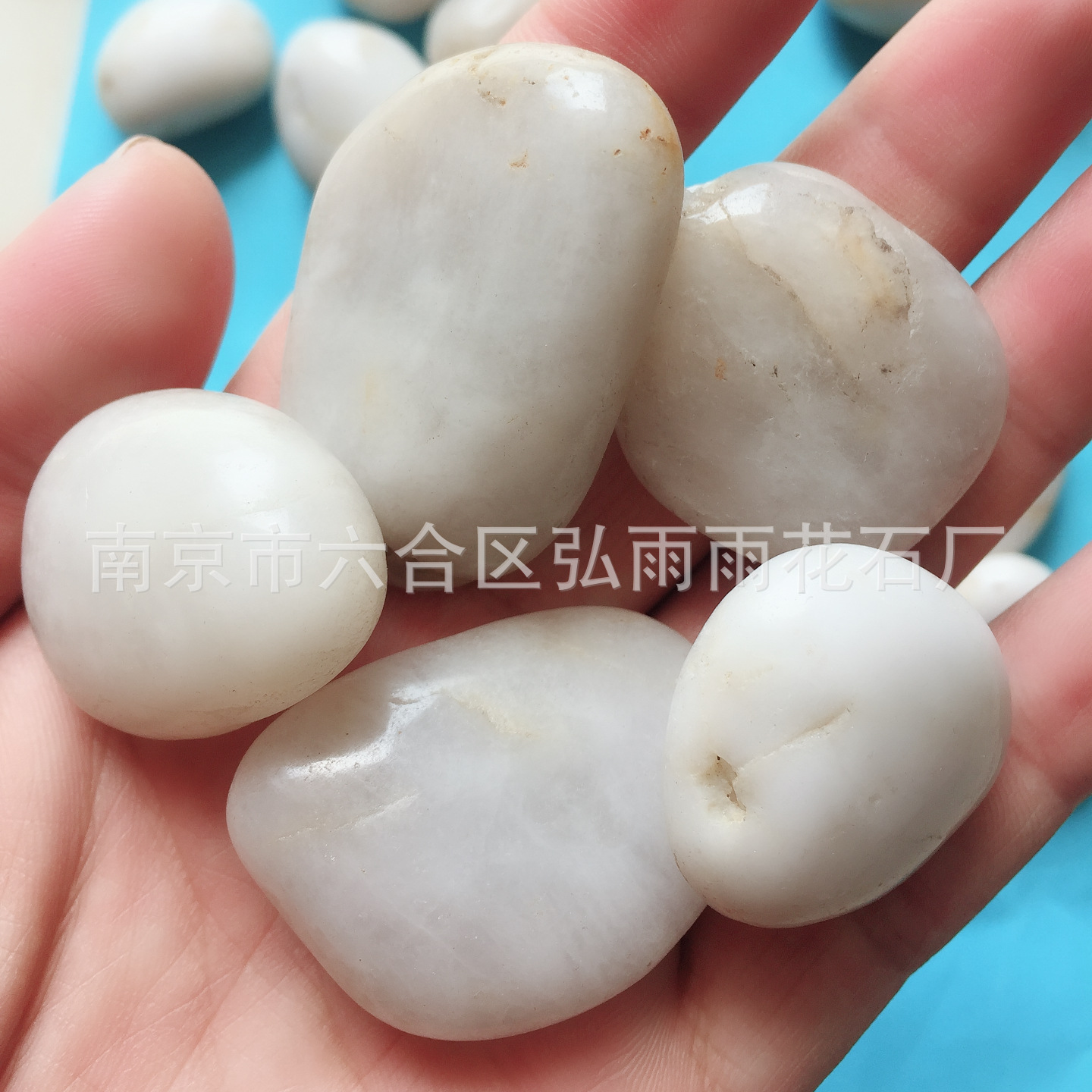 批发南京天然雨花石 精品白石鹅卵石家装园林白石 装修鹅卵石