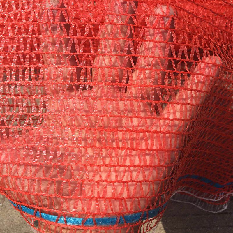 广州塑料网袋厂家批发 洋葱 土豆网眼袋  玉米包装袋 柚子网眼袋