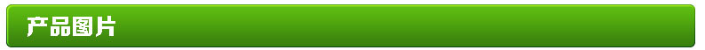 绿色标题2