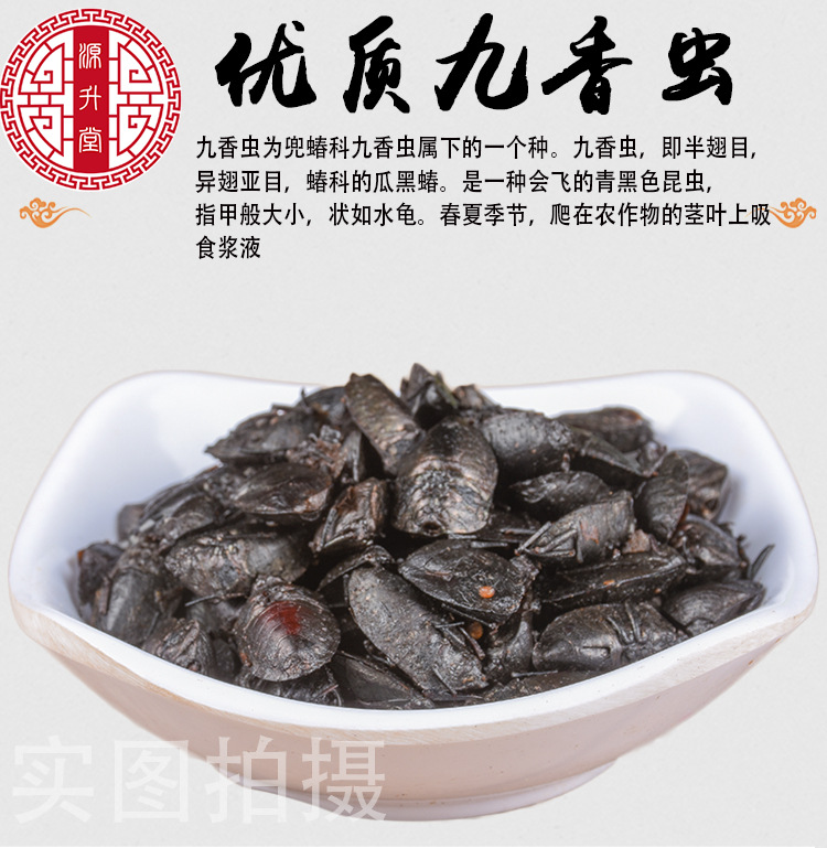 Jiu Xiang Chong (Aspongopus chinensis) — Dried Food-Herb Insect for TCM Decoction & Wellness overview