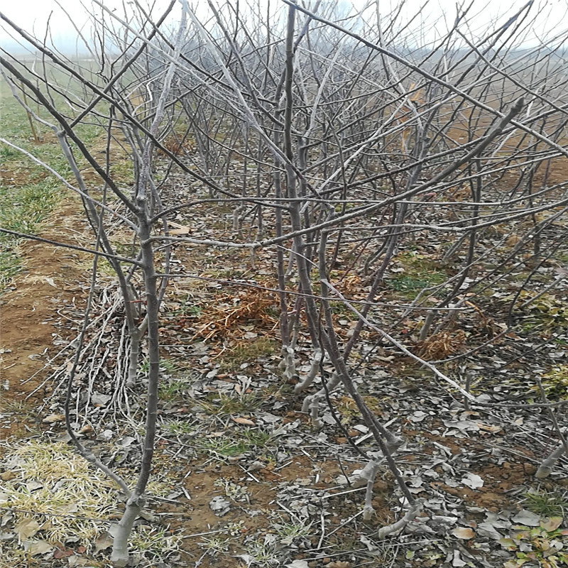 wx_camera_1516521278791