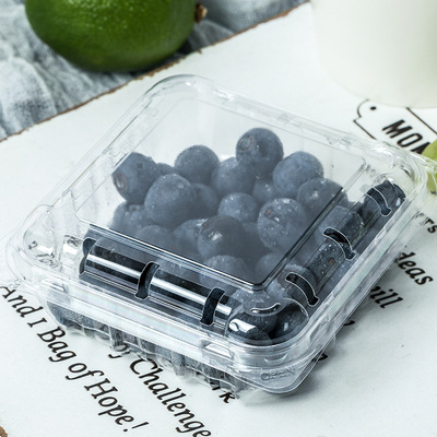 藍莓盒125G壹次性水果盒子透明子吸塑PET加厚正方形塑料打包透氣