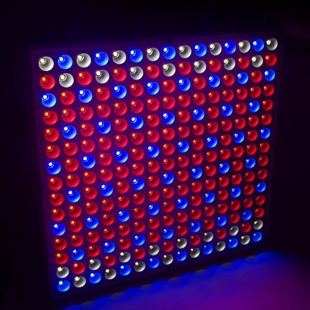 爆款定制led植物面板灯14w红蓝白三色led植物生长灯育苗灯 价格 厂家 哪里买 我有货 B 5yoho Cn