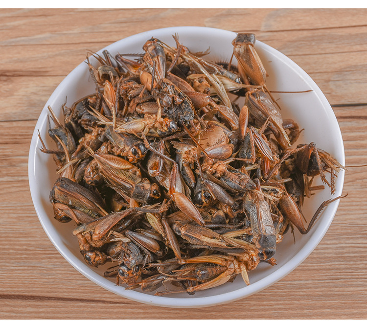 Cricket (Gryllus testaceus) Dried Food-Herb — Sulfur-Free TCM Material, 500g Bulk quality and texture
