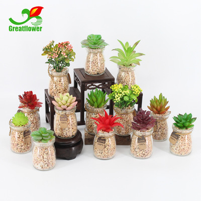 direct deal Artificial Plants bonsai Pudding bottle Succulent plants Potted plant Home Furnishing decoration Decoration crafts