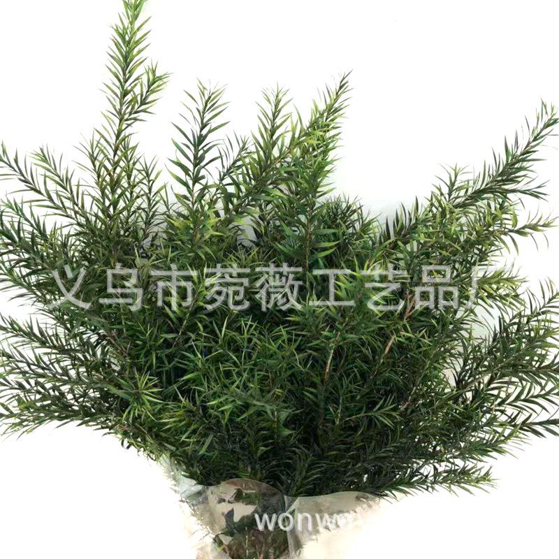 微信图片_20181102152240