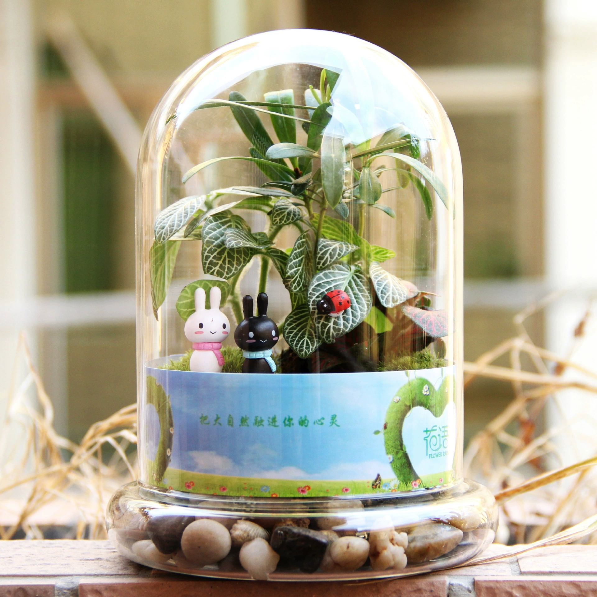 Мох микропейзаж экологическая бутылка 2-в-1 цилиндрическая бутылка любовнику подарок на день рождения живое растение готовый творческий подарок