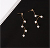 Fashionable universal earrings with tassels from pearl, city style, bright catchy style