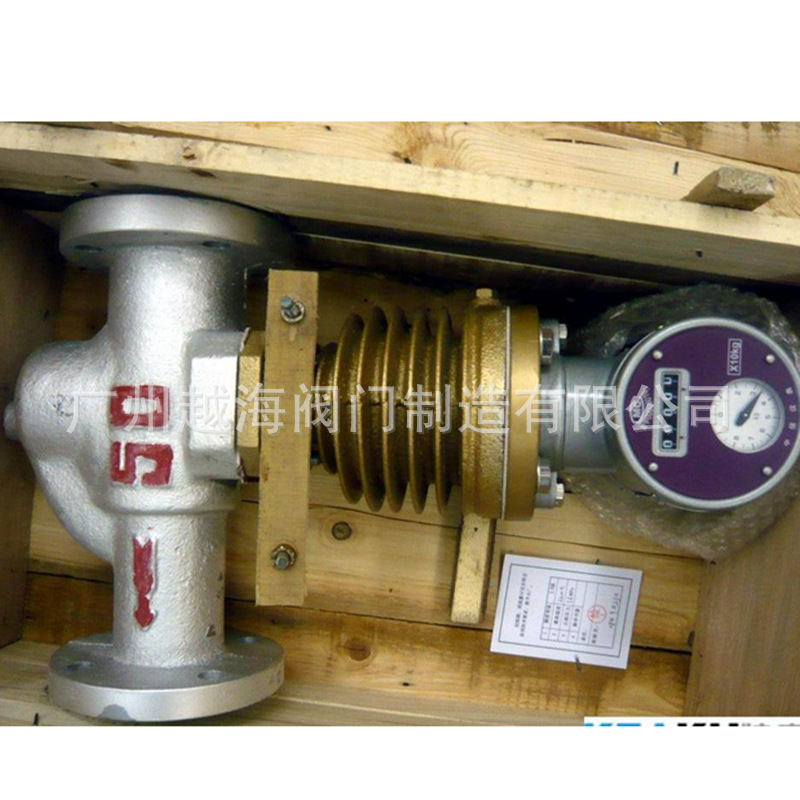 蒸汽流量计 孔板流量汁 气体流量计025立方小时 分流旋翼式流量