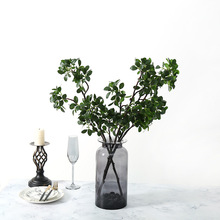 �҃ȷ���ֲ���Ř�֦�b����� ��ֲ���辰�Gֲ���ϼҾӔ[������