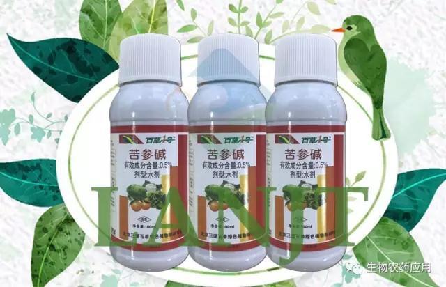 柏杨苦参碱蔬菜花卉杀虫剂生物农药菜园杀虫飞虱红蜘蛛白粉虱花药|ms