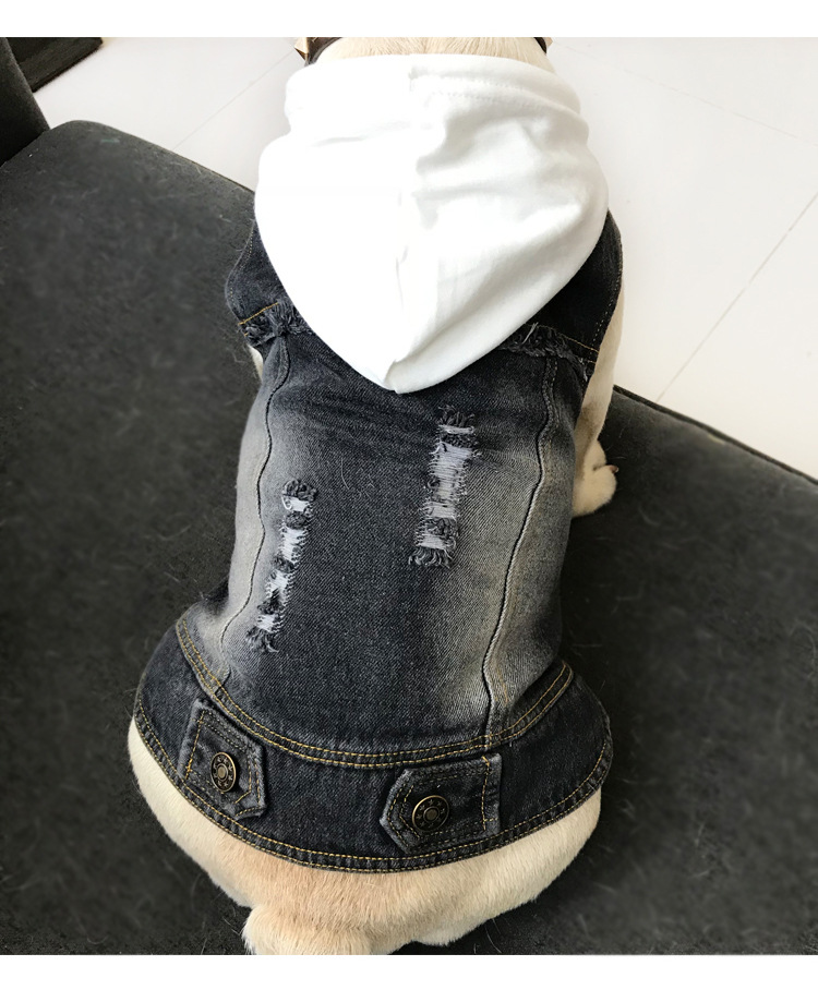 Pet Vest