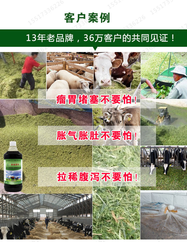 益生菌養牛的效果