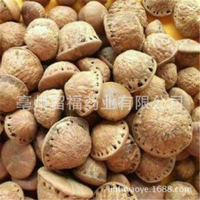 Agricultural by-product/Fruit of guinea pig/Devil Guangxi Merry fruit Paojiu material Merry fruit Various Medicinal material