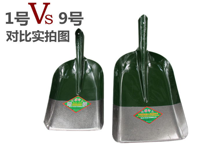 IMG555副587本_副本