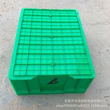 �����V����ɫ������D�� ���o������� �o����z��