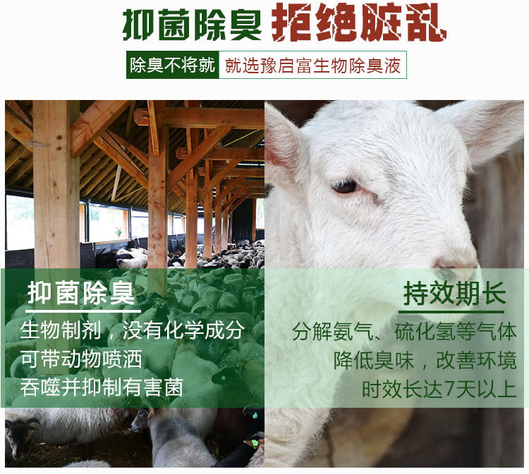 羊舍除臭劑