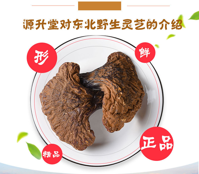 Reishi Mushroom Slices (Ganoderma lucidum) — Dried Chi Zhi from Changbai Mountain, Jilin key features