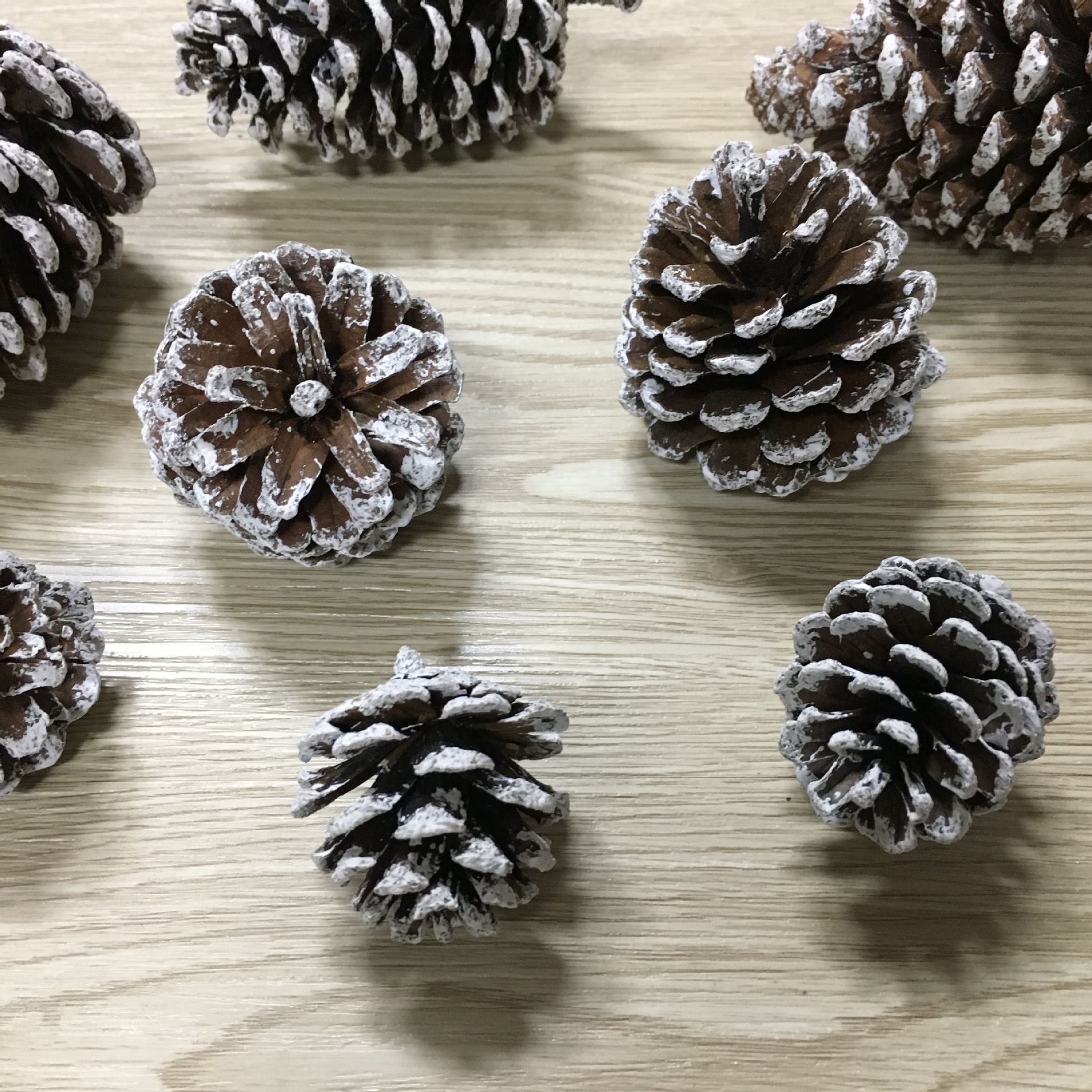 d2513f3460e1114b687d992beba535