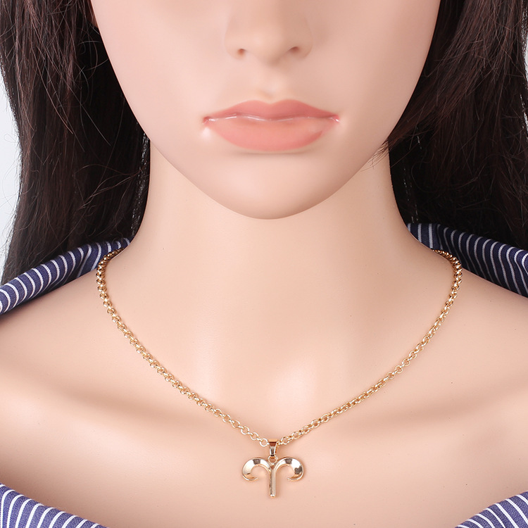 11g Weight Necklace Classification Women'S Gender White, Gold, Silver Color Hot-selling Twelve Constellation Necklaces Wholesale 5