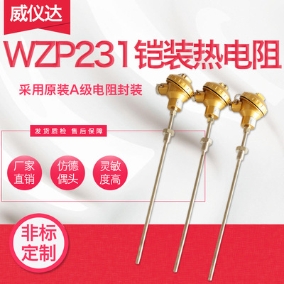 Armored Platinum RTD WZPK-231 boiler Pipeline Probes Imitation imports PT100 Fixed thread