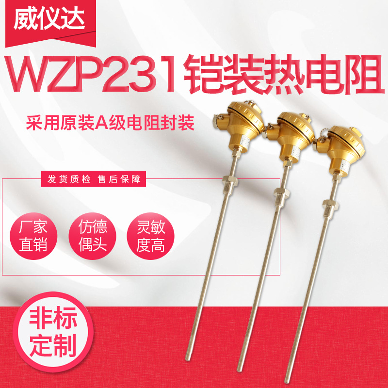 Armored Platinum RTD WZPK-231 boiler Pipeline Probes Imitation imports PT100 Fixed thread