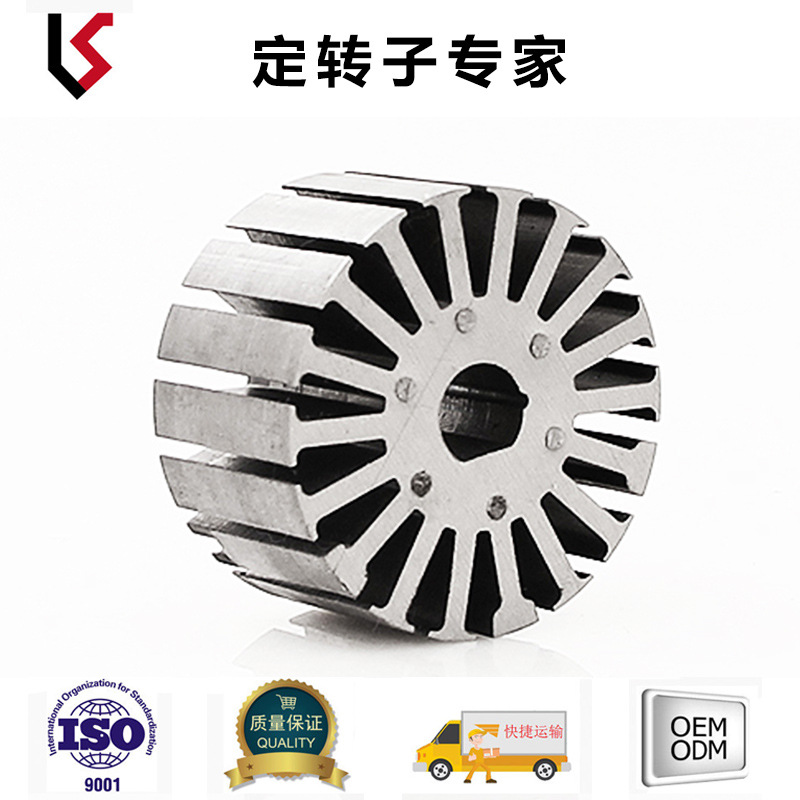 外径45 槽数18 轴孔9 平衡车扭扭车滑板车定转子 凯盛机械KS