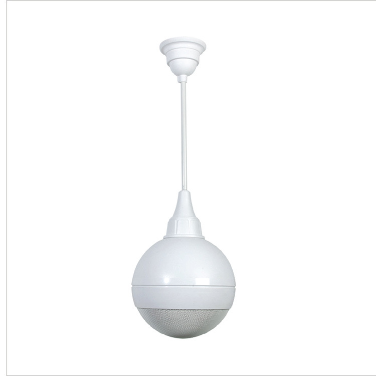 Ruiyi supply suspension speaker restaurant shopping background music…