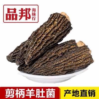 [Morel mushroom plant Tip Morel mushroom dried food Morel mushroom 500g Origin accusing